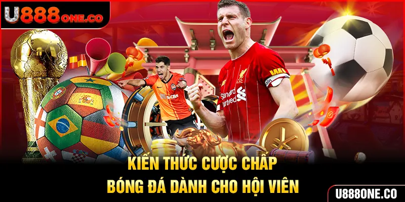 Toàn bộ kiến thức dành cho newbie về cược chấp bóng đá