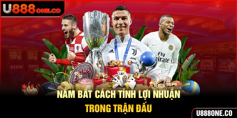 Nắm bắt cách tính lợi nhuận trong một trận đấu thực tế